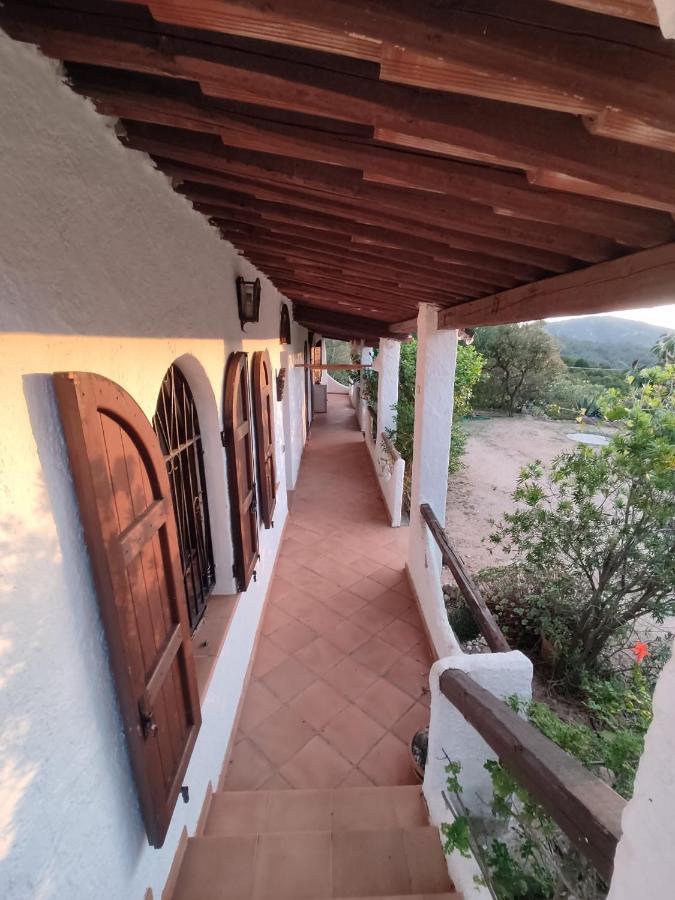 Chia Aloe & Cactus Villa Buitenkant foto