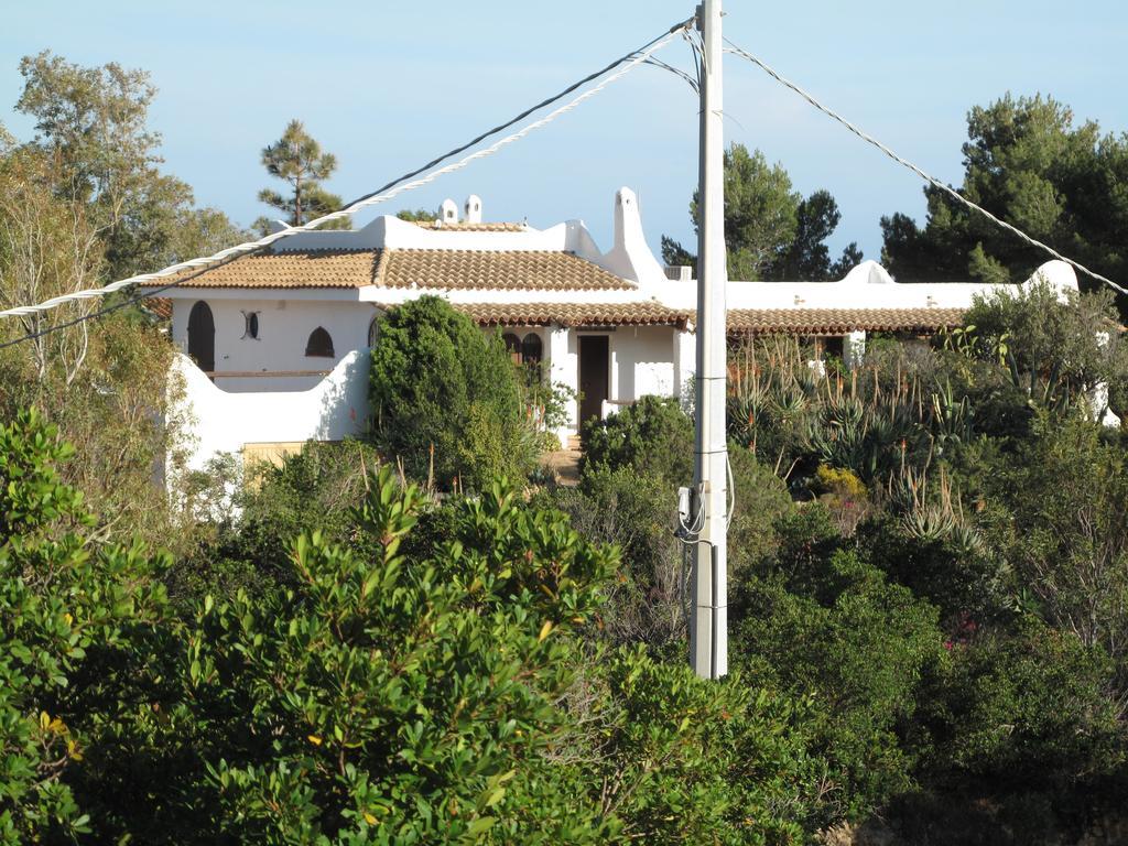 Chia Aloe & Cactus Villa Buitenkant foto