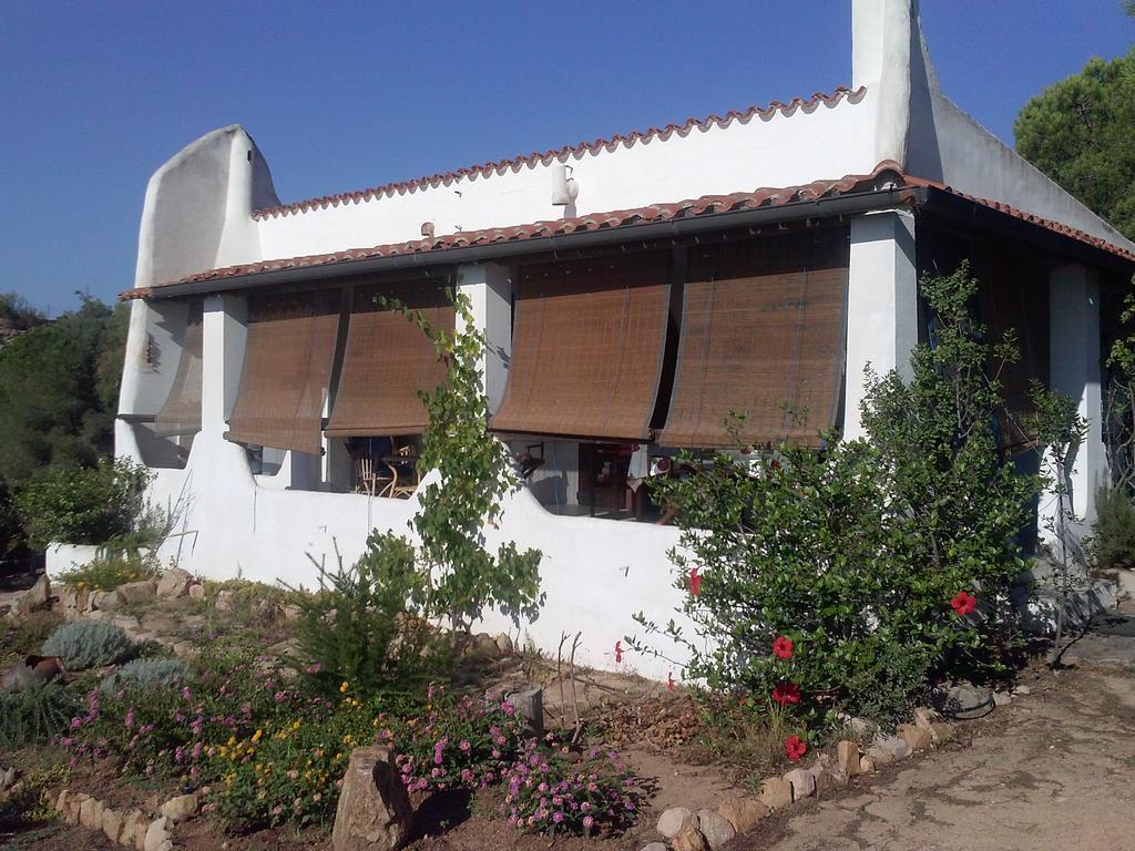 Chia Aloe & Cactus Villa Buitenkant foto