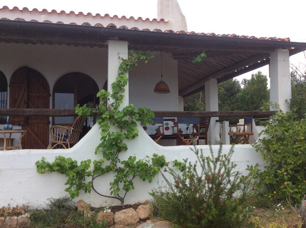 Chia Aloe & Cactus Villa Buitenkant foto