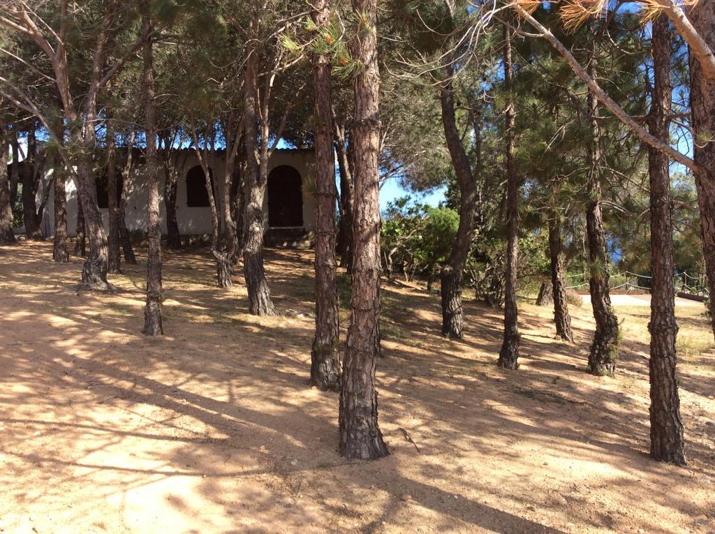 Chia Aloe & Cactus Villa Buitenkant foto
