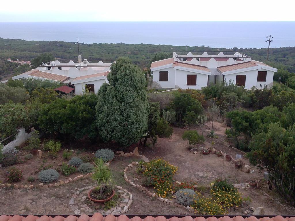 Chia Aloe & Cactus Villa Buitenkant foto